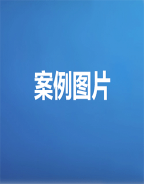 案例名称